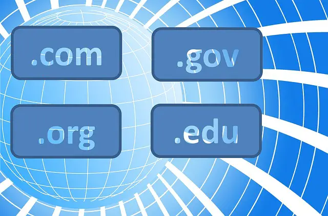 choose domain name extensions